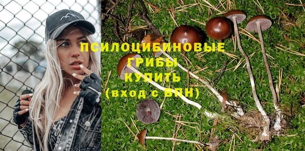 spice Алексеевка