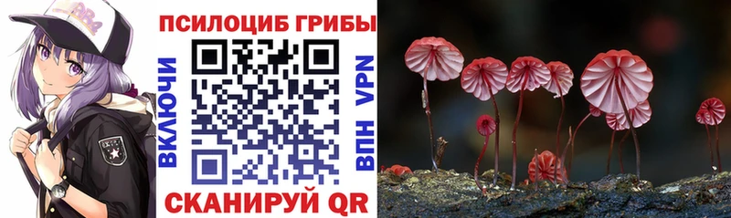 Псилоцибиновые грибы мухоморы  сайты даркнета как зайти  Дегтярск  где можно купить наркотик  MEGA  